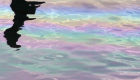 image photo_pollution.png (0.2MB)