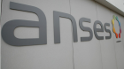 IMAGE_ANSES.png